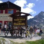 Passo Gavia